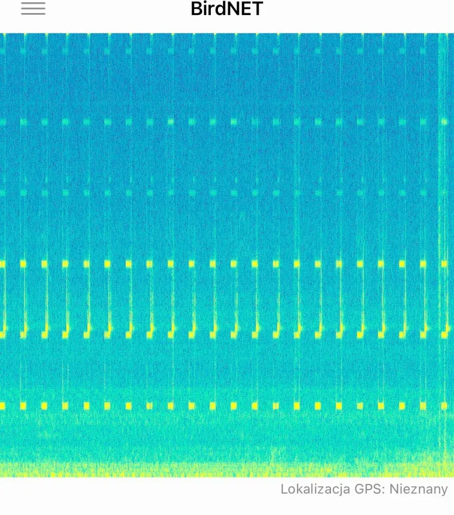 The tester's BirdNET spectrogram of the Vimo Swim beeps, recorded at home